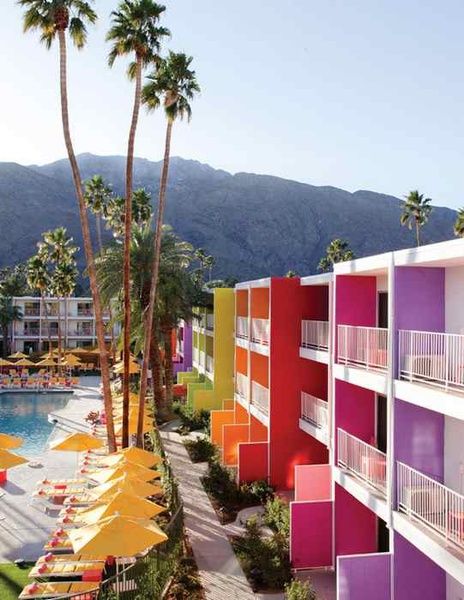 缤纷色彩活力无限 美国加州棕榈泉仙人掌酒店