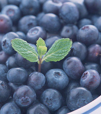 蓝莓 蓝色水果