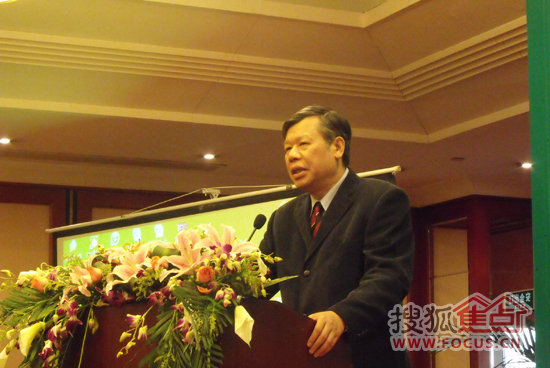 中国林产工业协会副会长叶克林 发表讲话