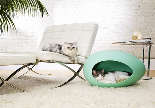 与自己家里摩登风格室内设计相呼应的舒适宠物床pEi Pod是你的最佳选择