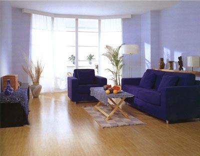 地板专家告诉您地板与家具风格的搭配
