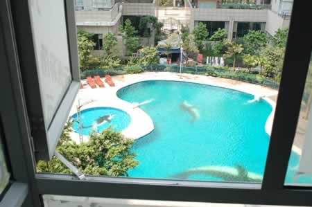 透过窗户可以看到室外漂亮的游泳池