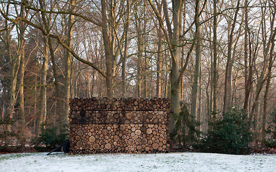 荷兰公园中的奇景 树干竟变成奇异小屋(图)
