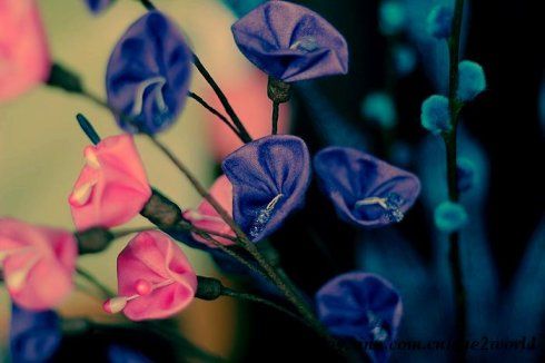 蓝紫色系的花草，很有些神秘色彩