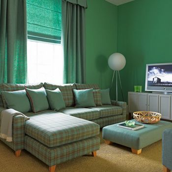 对于绿色控的朋友们，这间客厅必定是大爱。绿色的墙面，清新，自然，舒缓压力