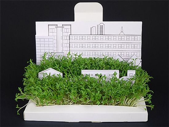 瞧瞧这款由纸剪裁折叠成的花园多有创意，你也可以自己DIY一个，找张大点的卡纸，按照自己理想中的家园设计