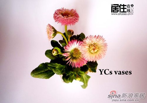 YCs花瓶