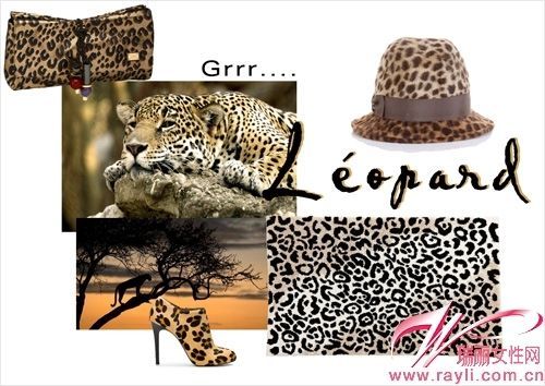 LEOPARD 豹纹