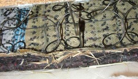 网购床垫竟填充黑心棉和稻草 消费者应如何维权