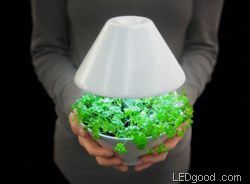 与自然如此亲近 照顾植物的LED灯(组图) 