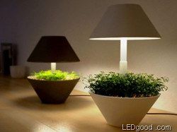 与自然如此亲近 照顾植物的LED灯(组图) 