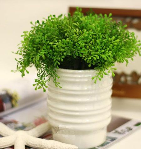 9款健康绿色植物 玩转白领沉闷办公桌 