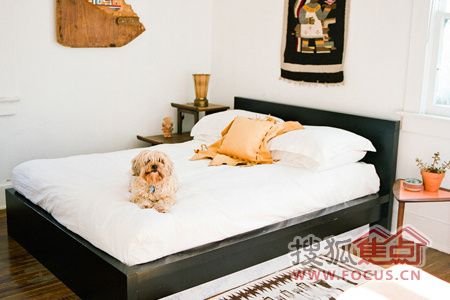 加州个性浪漫小家 皮匠帅哥与狗的三室一厅 