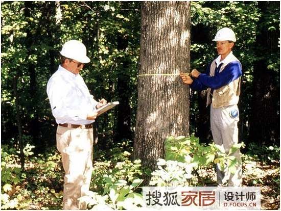 图1：产自可持续森林的木材称为绿色木材，是环保材料。