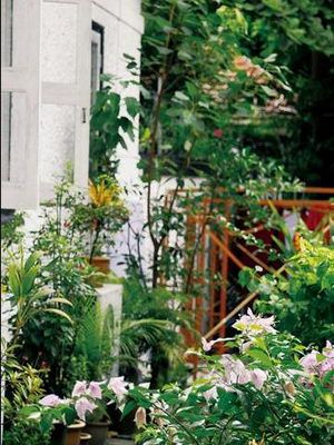 流行风格设计 打造生机勃勃的私家花园 