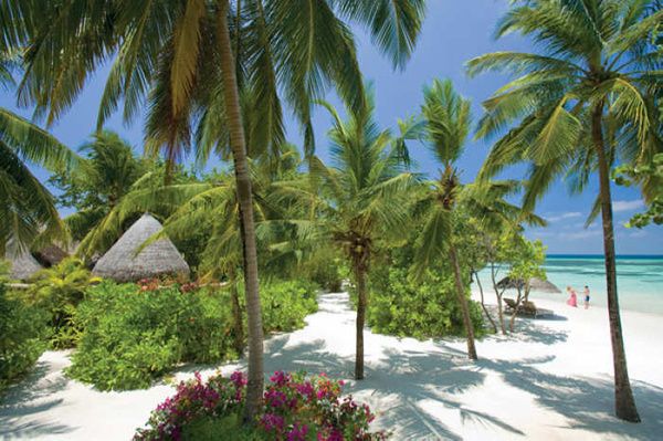 椰林树影水清沙白 马尔代夫四季度假酒店(图) 