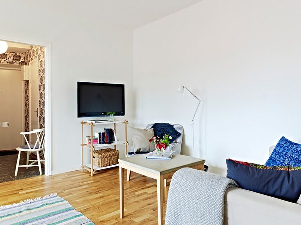 经典瑞典风 54平二房一厅优雅小公寓(组图) 