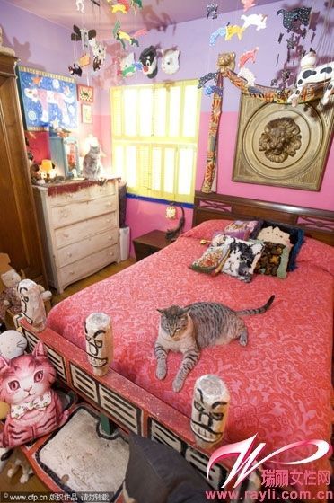 猫咪在主人房里“肆意流窜”，天花板上挂满了各式各样的猫咪饰品