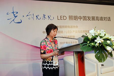 中国半导体照明/LED产业与应用联盟秘书长关白玉