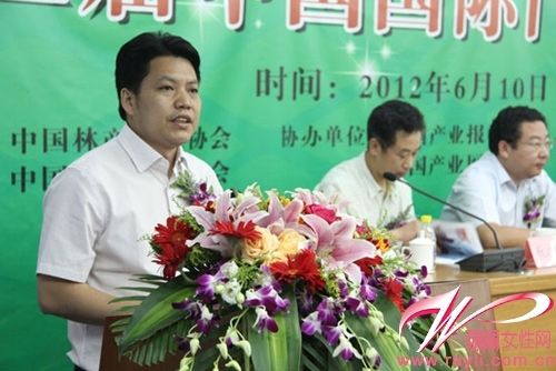 中国林产工业协会副秘书长祝远虹先生 
