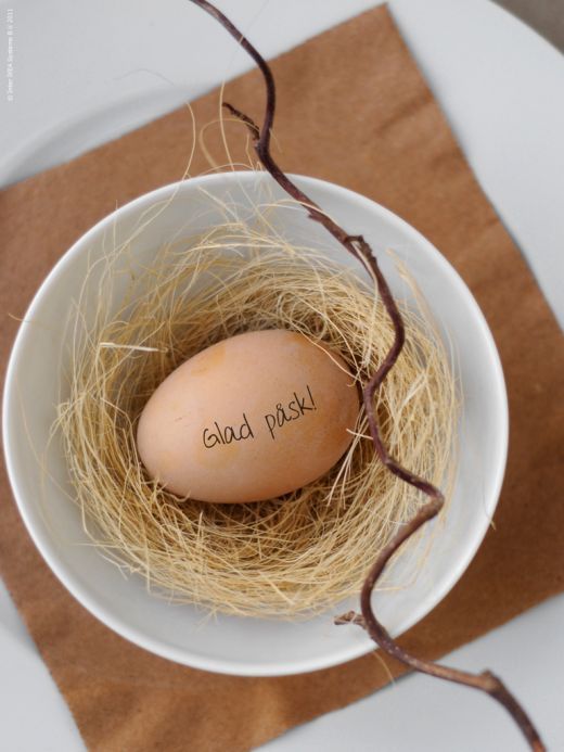 家居设计自然召唤 蛋壳与餐具的装饰艺术(图) 
