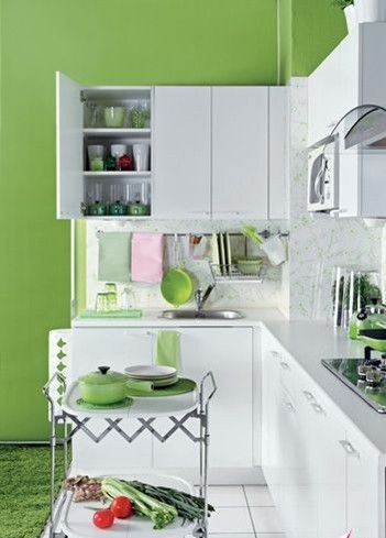 发挥绿色功效 一扫厨房单调营造小清新(组图) 