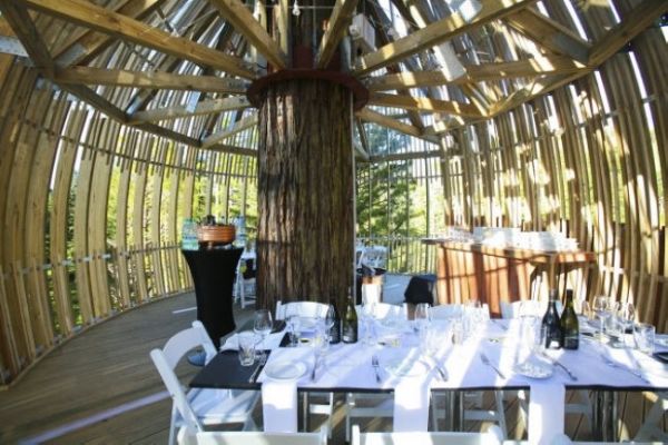 别样风情 新西兰树屋餐厅带给你不一样的风景 