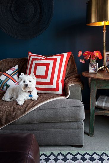 舒适灰色沙发和客厅的沙发有颜色搭配。鲜红和深蓝的大胆撞色搭配，展现都市大胆复古的魅力