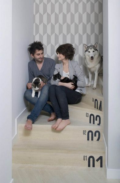 波兰独特公寓装修 动物爱好者之家（组图） 