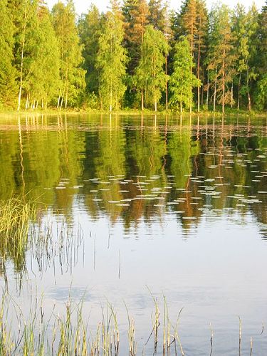 北欧的仲夏夜 芬兰仲夏夜之湖窒息的美(组图)  