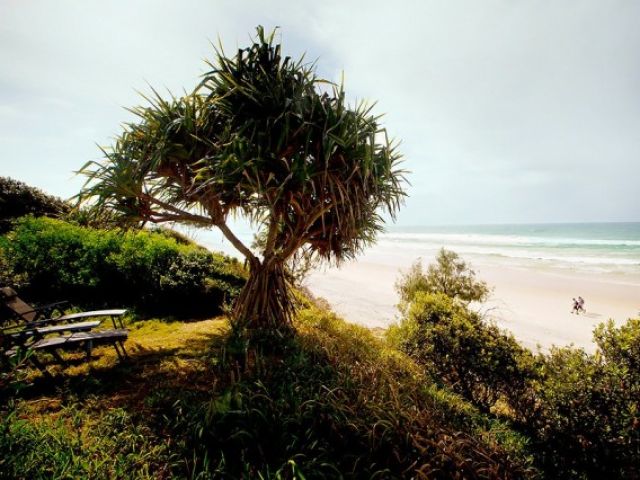 澳大利亚三居海滨别墅 舒适的阳光木屋（图） 