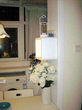 45平米装一室一厅现 代简洁白色衣柜装饰美家 