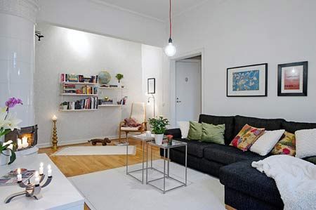 哥德堡小户型公寓装修 56平1室精心设计(组图) 