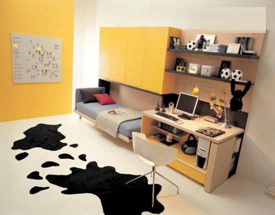 15款青少年卧室设计 无限畅想成长空间(图) 