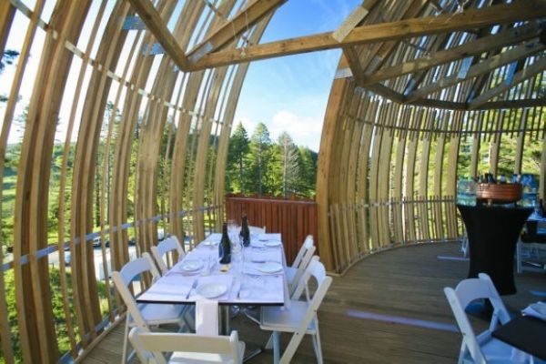 欣赏不一样的风景 新西兰创意树屋餐厅(组图) 