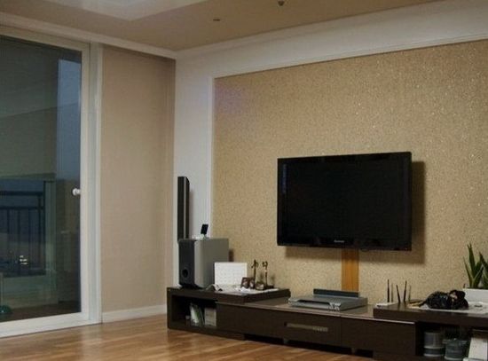 如何展现欧式客厅中的电视背景墙 以大饱眼福 