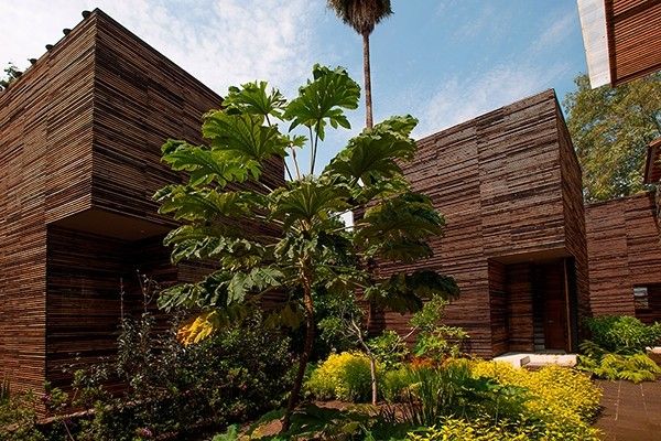 绿野仙踪 墨西哥惊艳自然建筑设计（组图） 