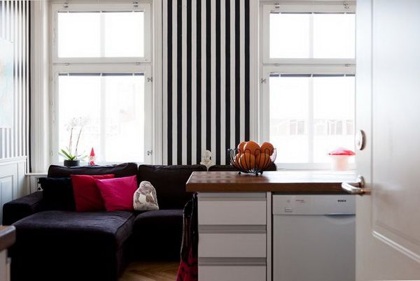 黑白简约线条 瑞典达人打造44平迷你公寓(图) 