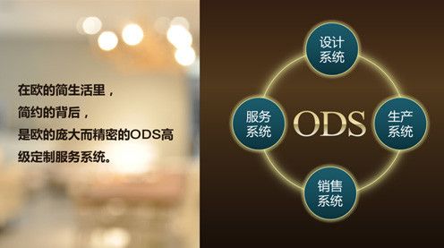 ODS高级定制服务系统