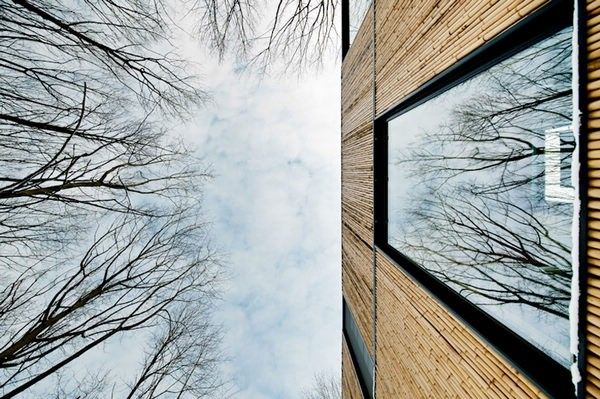 密林深处的竹子屋 比利时现代个性住宅设计(组图) 