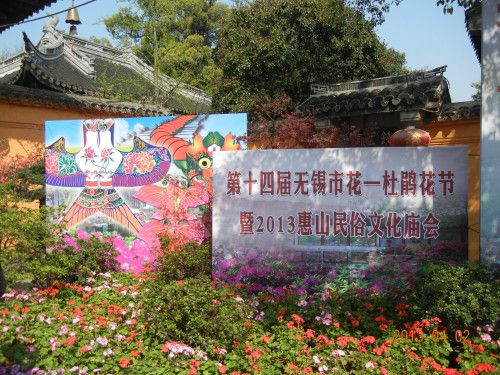 锡惠公园春季活动之2013第十四届无锡市花--杜鹃花节