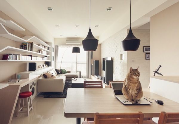 清新简约的猫咪之家 米白色优雅气质住宅 