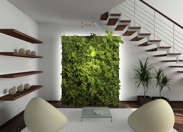 环保先行 15个绿色植物墙装点家居环境（图） 