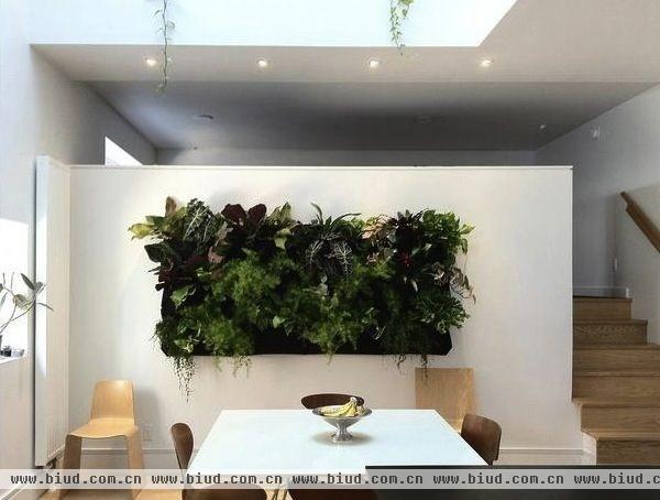 环保先行好办法 巧用植物墙装点家居环境(图)