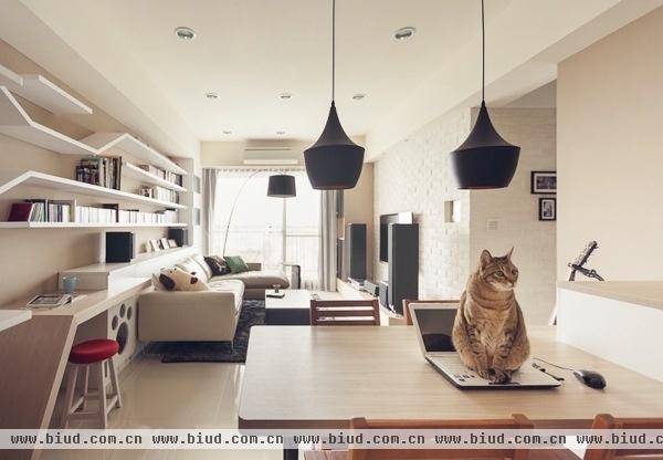 清新简约的猫咪之家 宠物专用设计客厅（图）