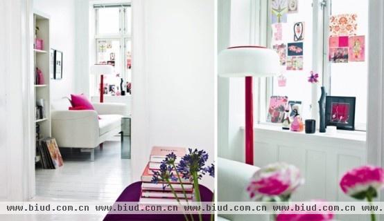 北欧粉红主题色温馨公寓 单身女性的首选(图)