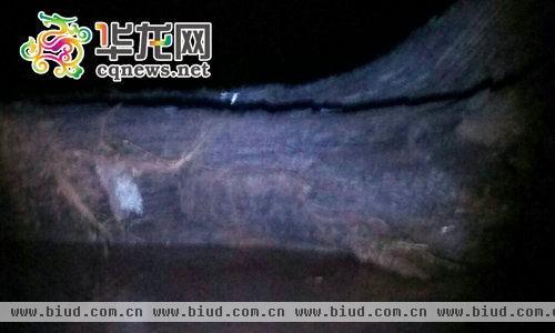 深夜中，疑似乌木的物体完全露出水面，陈昌远称其足有20米长。 图片为陈昌远用手机拍摄 