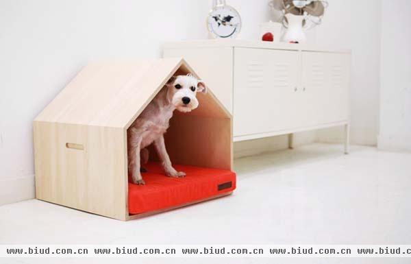萌宠小狗的专属床垫 防水防污让家更整洁(图)