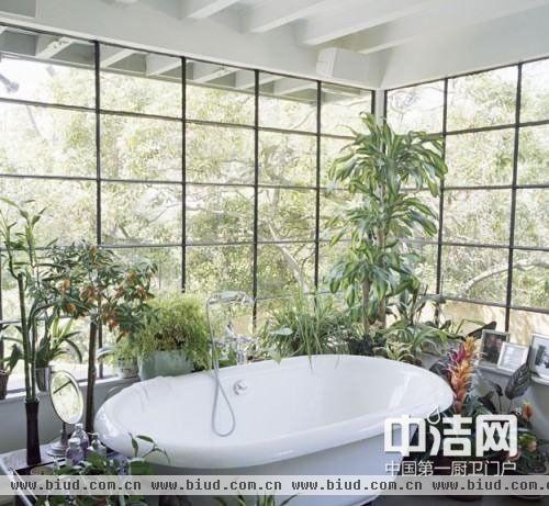 卫浴室放什么植物好 卫浴室植物装修设计示例