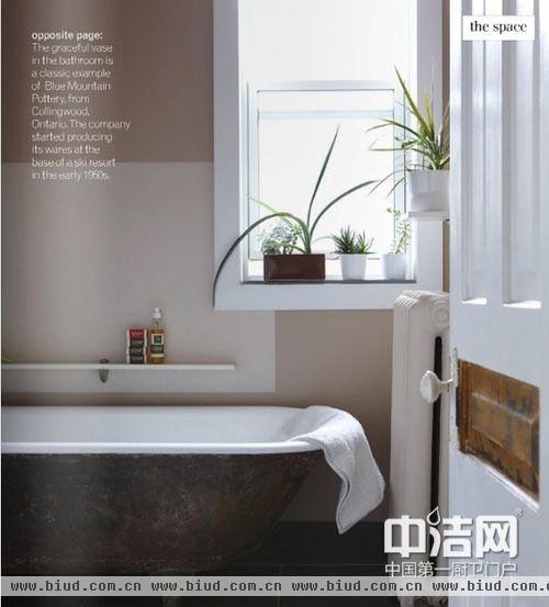 卫浴室放什么植物好 卫浴室植物装修设计示例